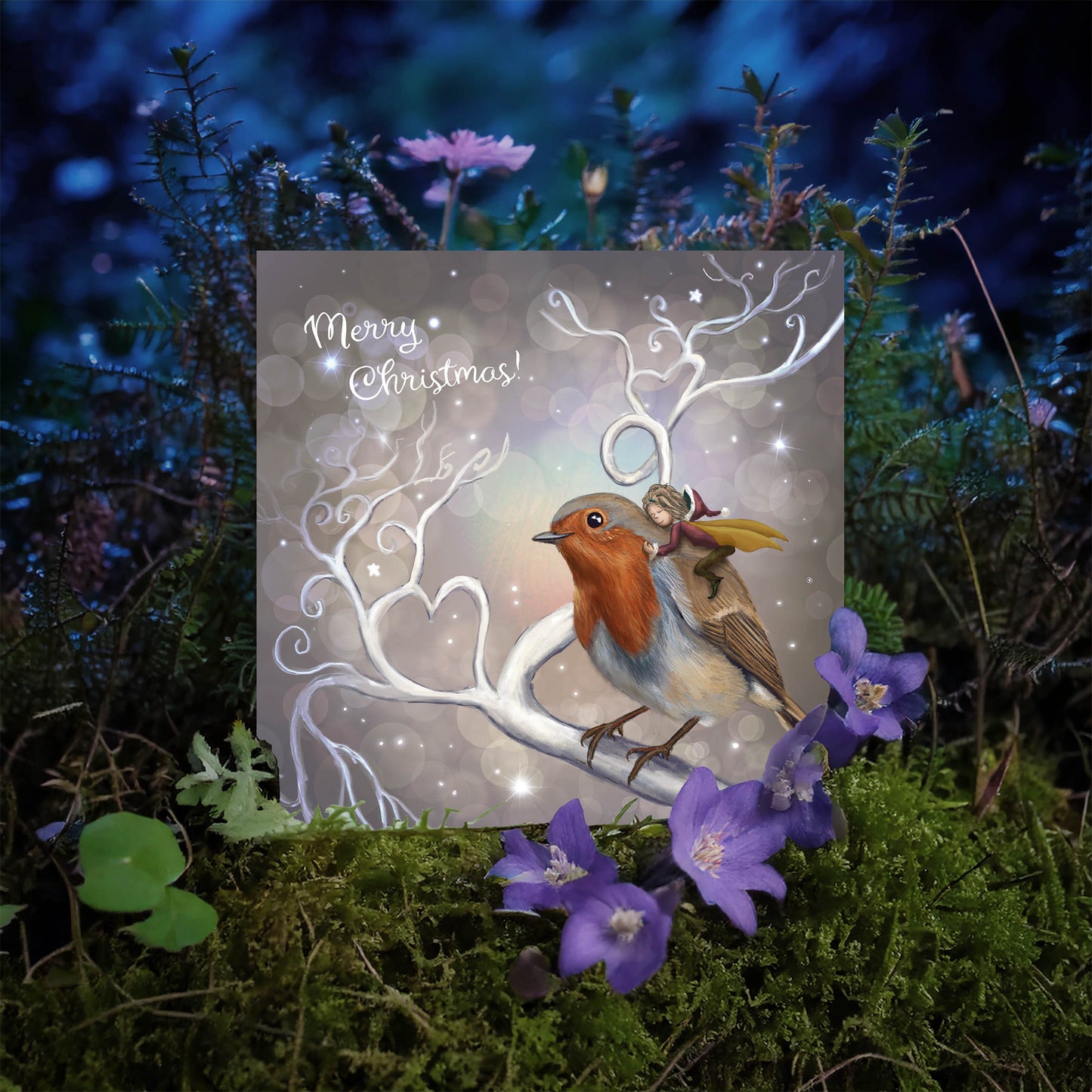The Robin Fairy - Xmas