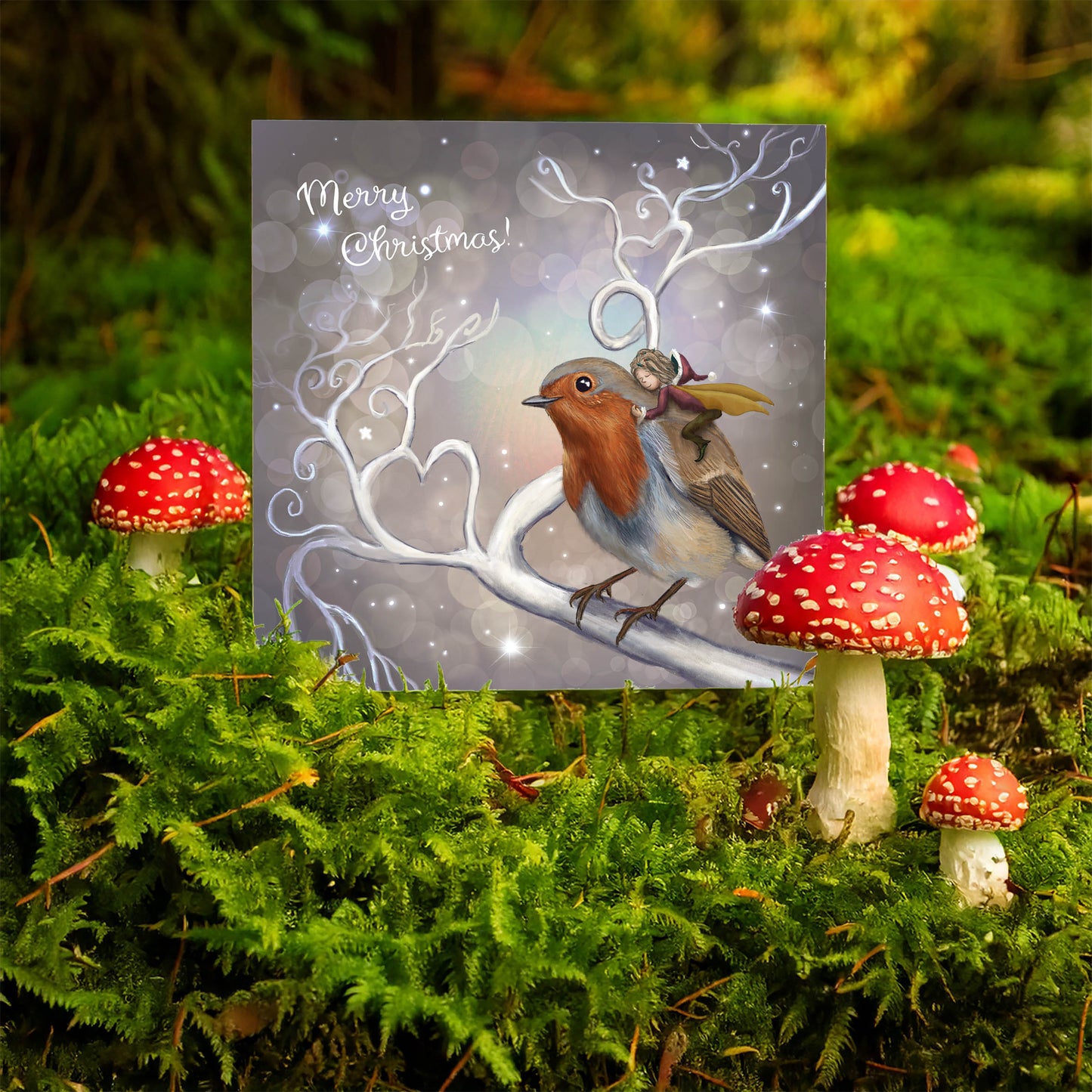 The Robin Fairy - Xmas