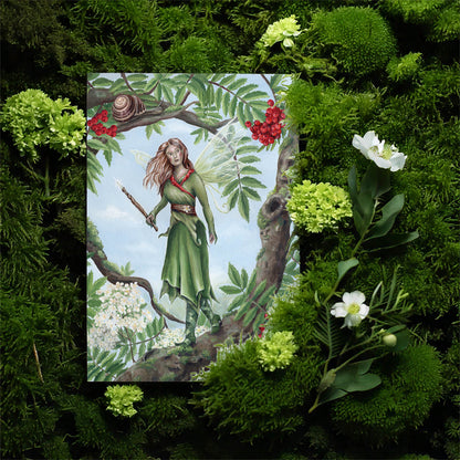 The Rowan Fairy