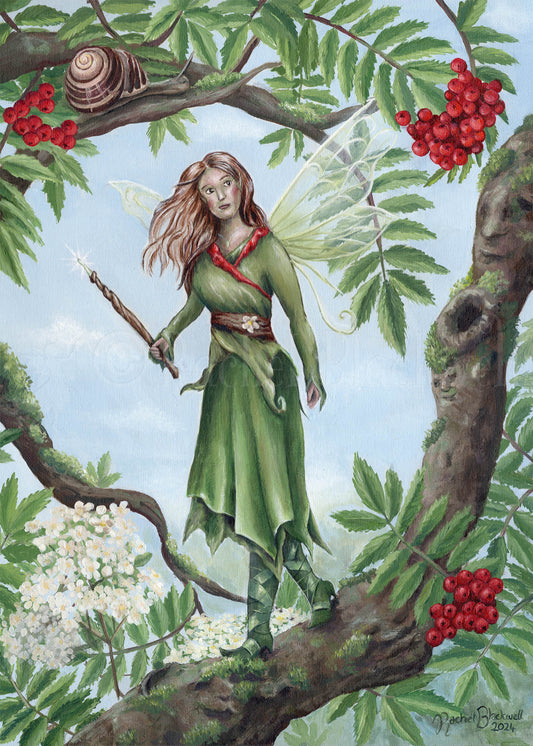 The Rowan Fairy