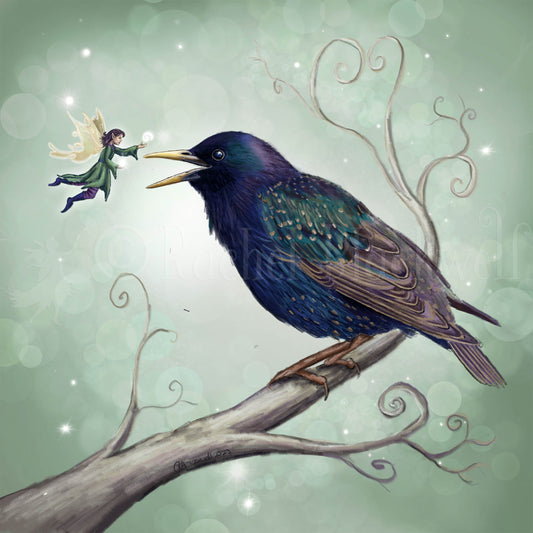 The Starling Fairy