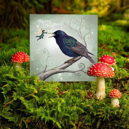 The Starling Fairy - Xmas