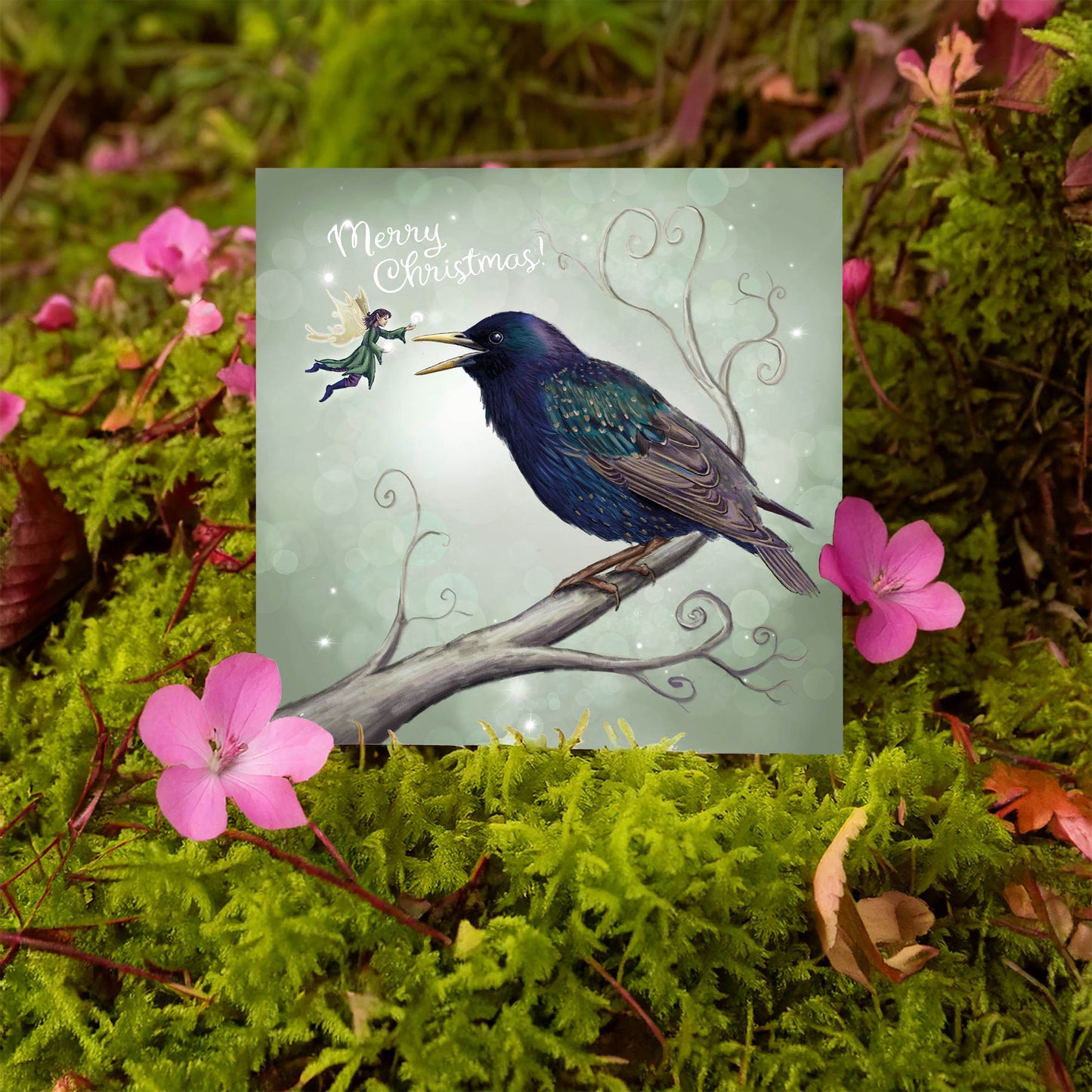 The Starling Fairy - Xmas