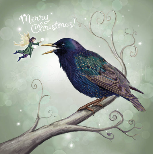 The Starling Fairy - Xmas