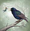 The Starling Fairy - Xmas