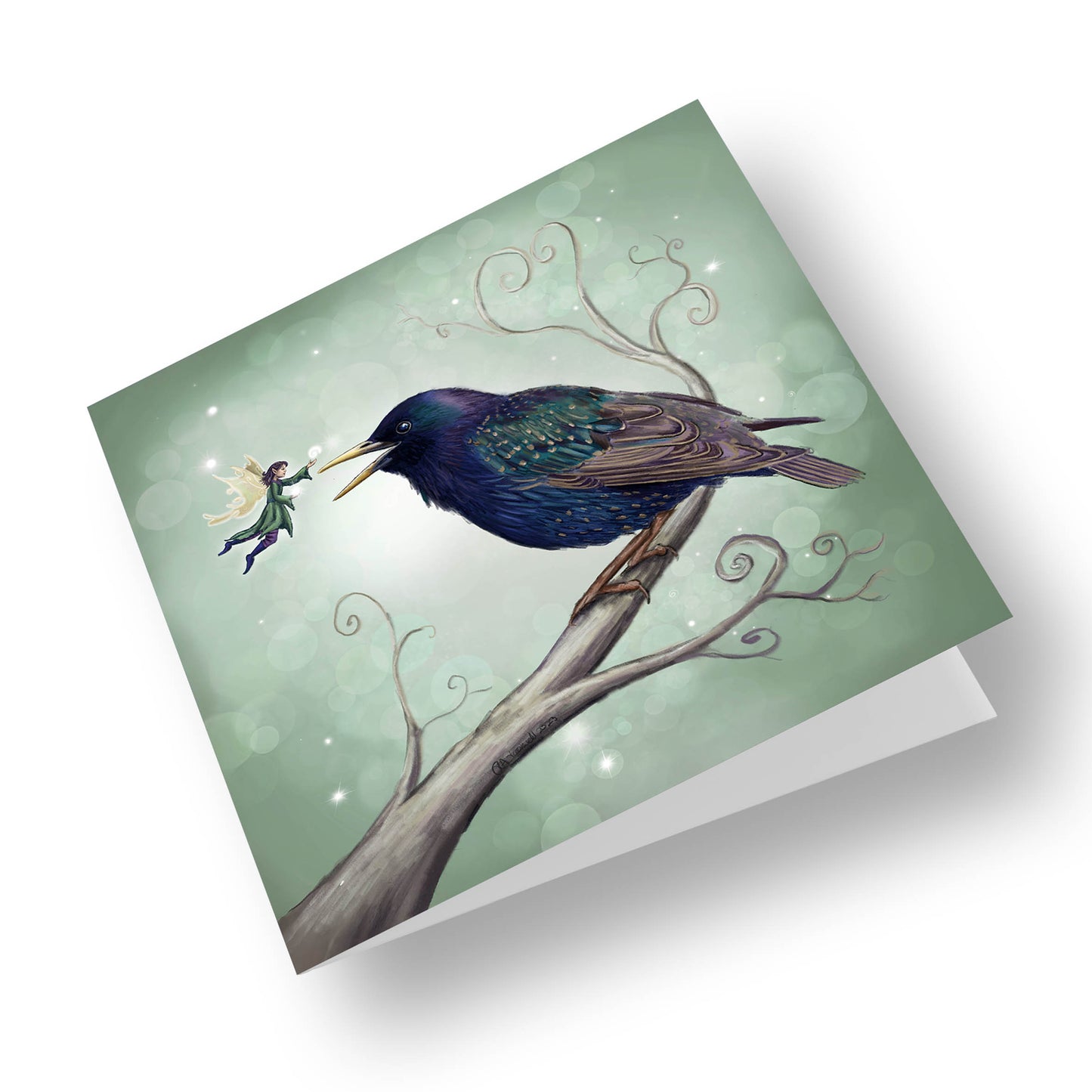 The Starling Fairy