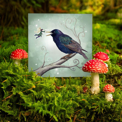 The Starling Fairy