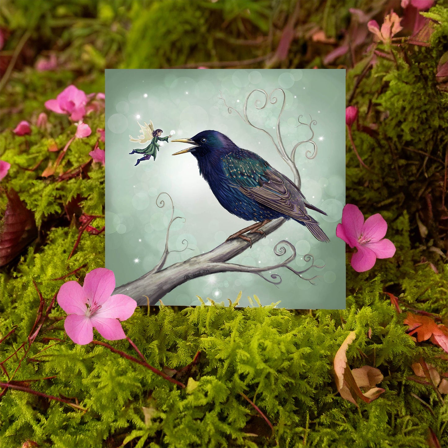 The Starling Fairy