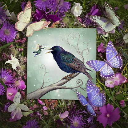 The Starling Fairy