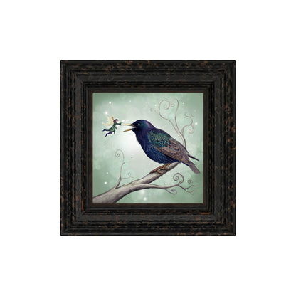 The Starling Fairy -Small Giclee
