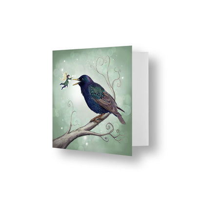 The Starling Fairy