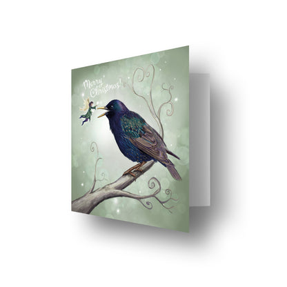 The Starling Fairy - Xmas
