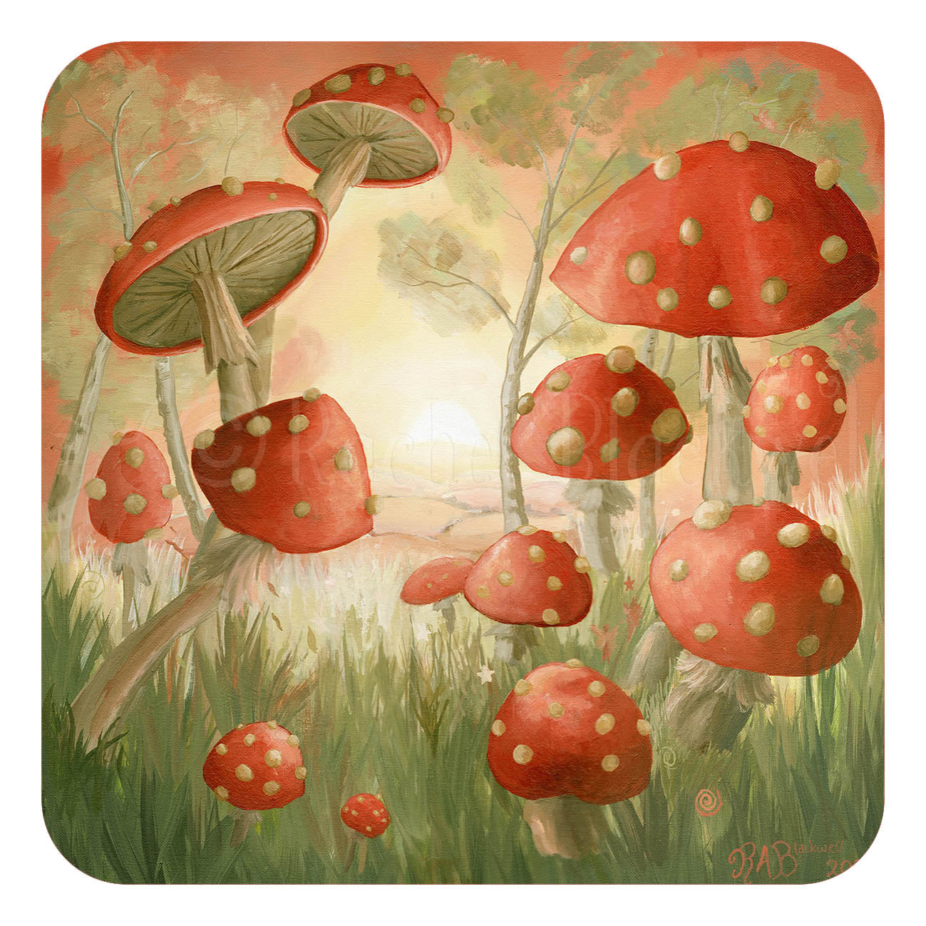 Coasters - Where the Fairies Play