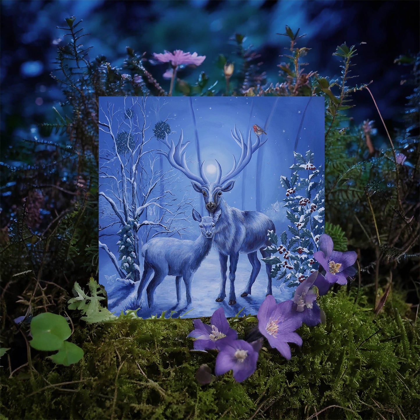 Winter's Grace