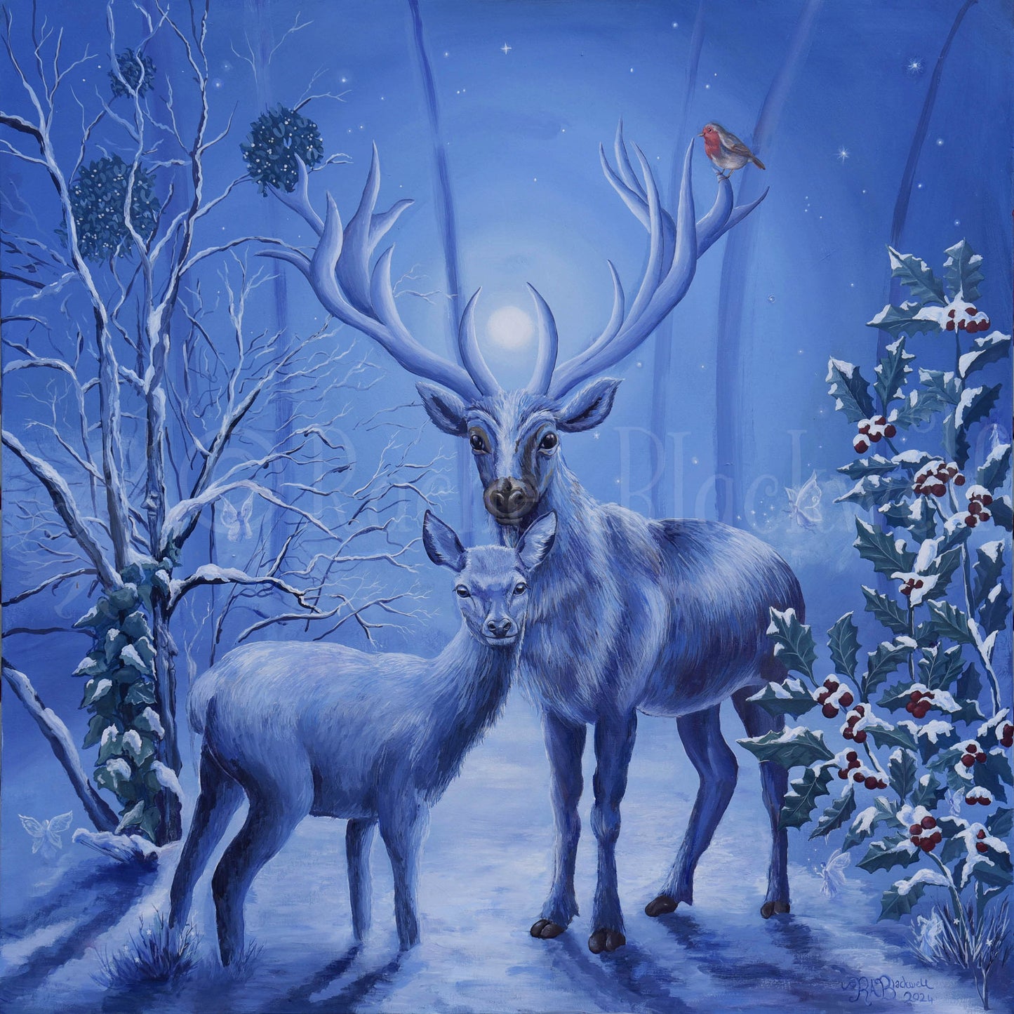 Winter's Grace