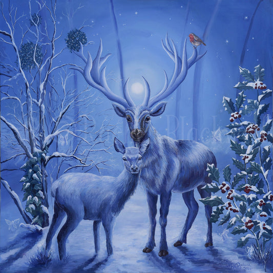 Winter's Grace