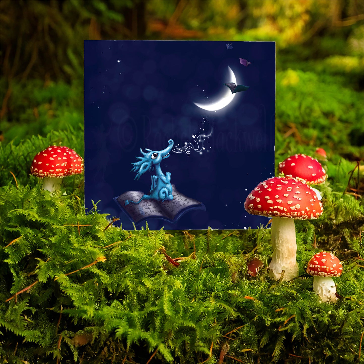 Wishing on a New Moon